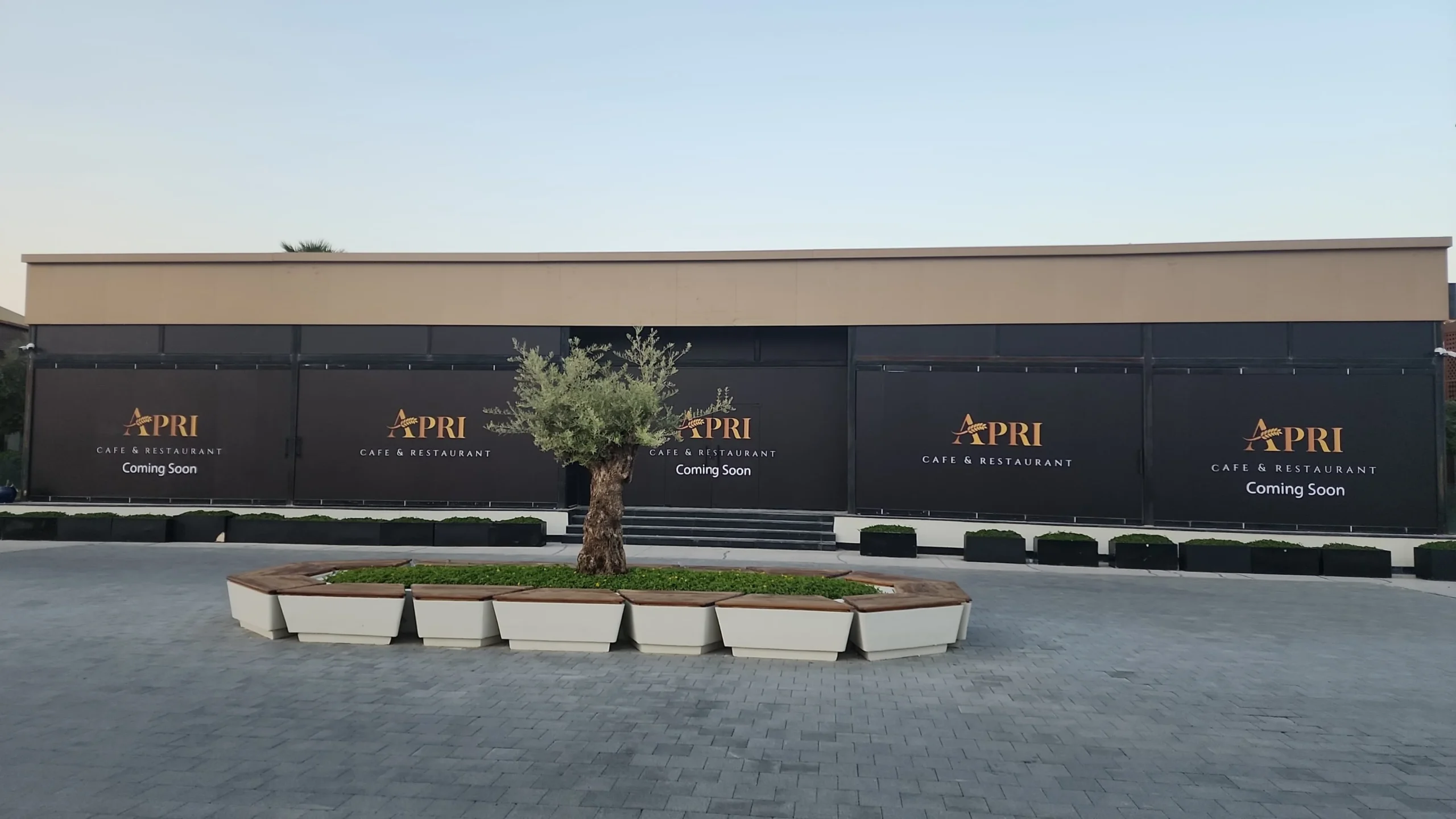 Fit-out of Apri Restaurant in Saudi Arabia (1)